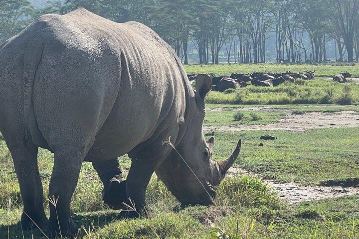 Tarangire day trip