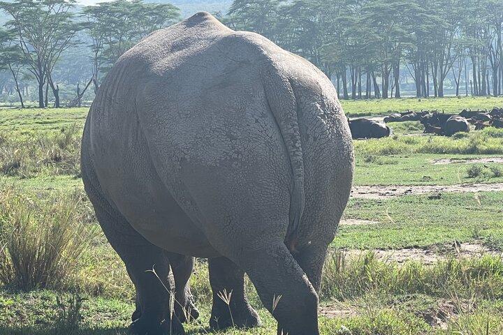 Tarangire day trip