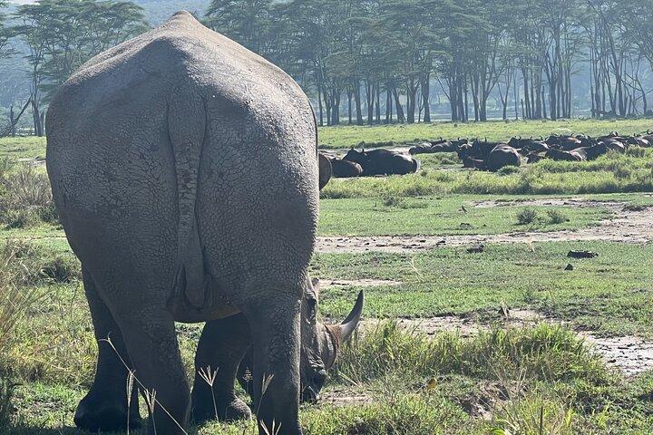 Tarangire day trip