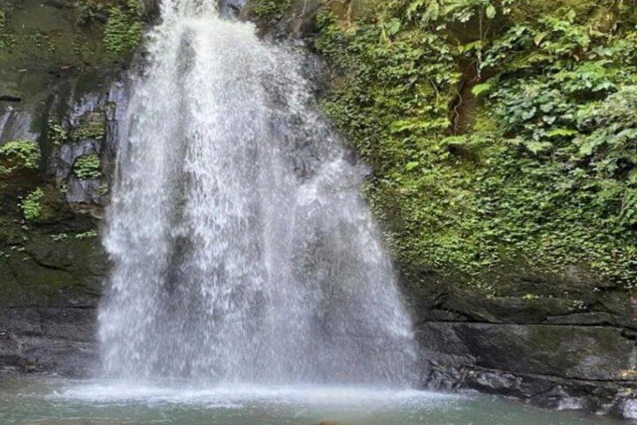 Ubud Half Day Private Tour Rice Terraces Temple Waterfall