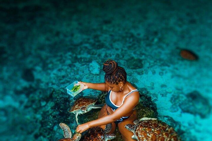 Explore Zanzibar with Jozani Red Colobus Monkey and Turtle Swim