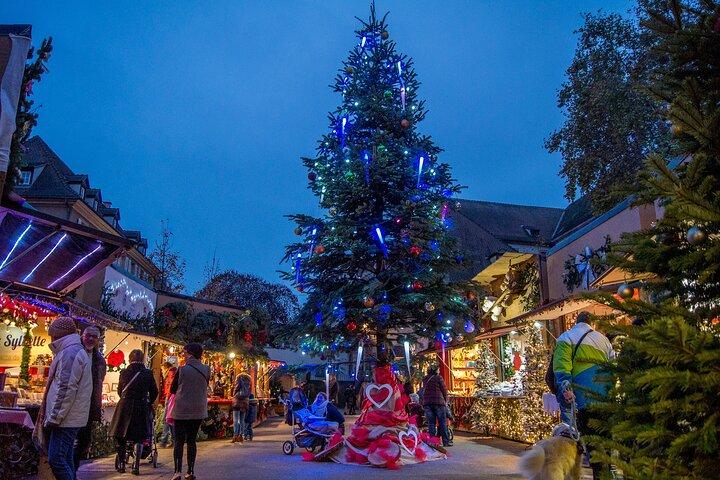 From Colmar with Alsace Christmas Markets Tour