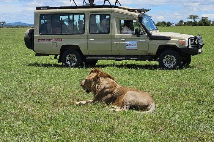 8 Day Mid Range Safari From Forests to the Migration Front
