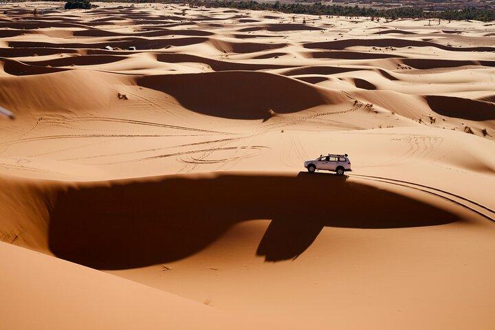 Qatar Desert Safari Adventure Experience .