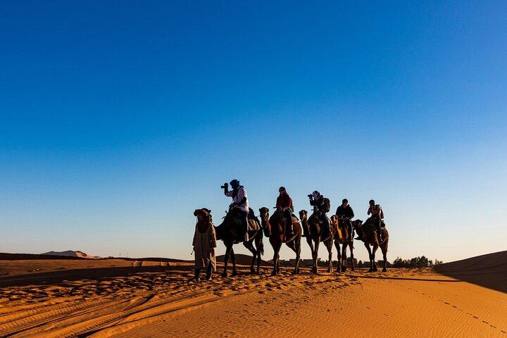 Qatar Desert Safari Adventure Experience .