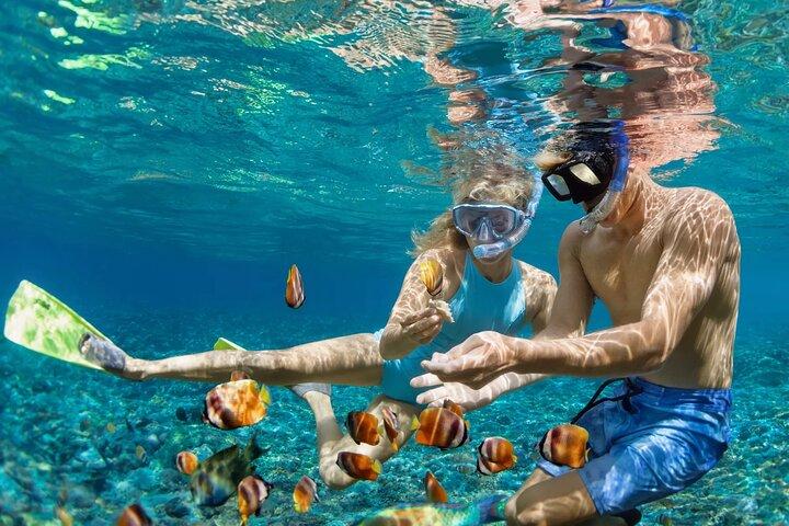 Watersports Adventure in Marigot Bay St Lucia