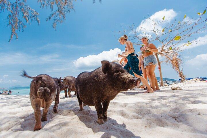 Koh Samui Speedboat Tour to Koh Madsum & Koh Tan with Snorkeling