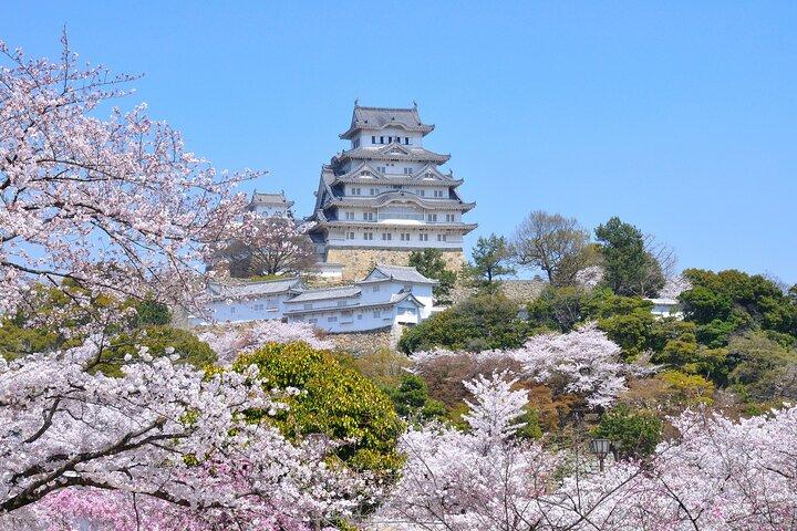 Japanese Sword Workshop & Himeji Castle Guided Tour from Kyoto