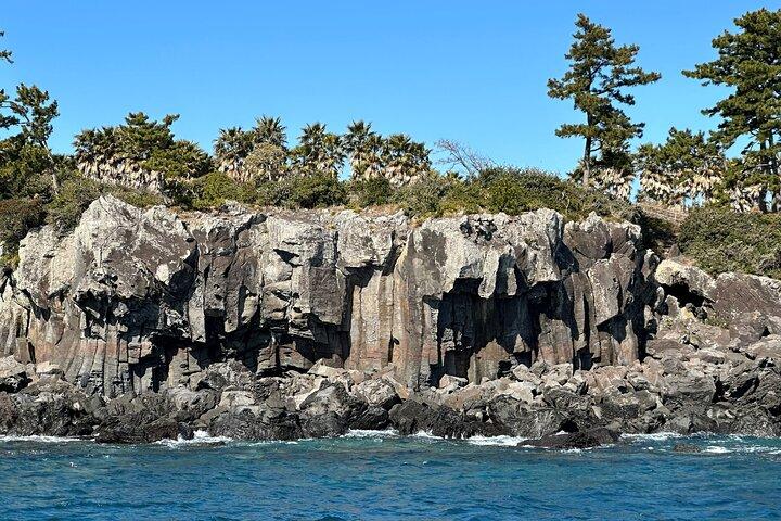 Private Tour in South Jeju including Yacht, Falls & Mt.Halla