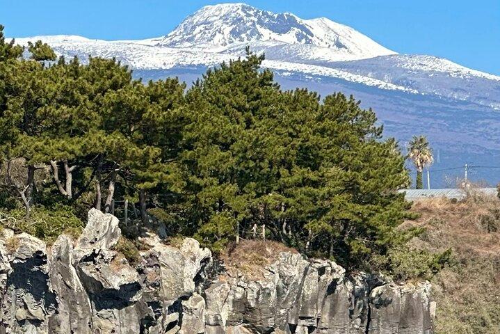 Private Tour in South Jeju including Yacht, Falls & Mt.Halla
