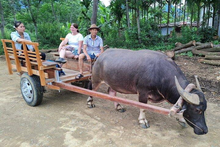 Pu Luong 3-Day Experiences: Cooking Class,Cycling & Buffalo Cart