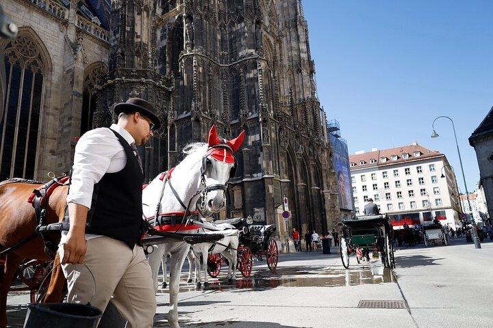 Vienna Sightseeing Private City Tour & Sacher Cake Option