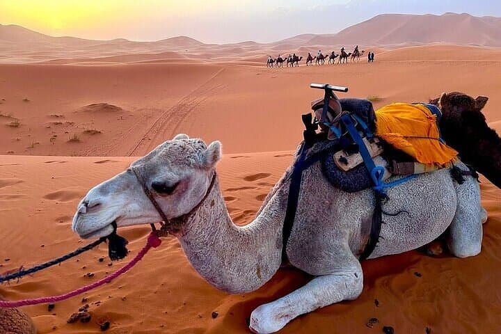 3 Day Marrakech to Merzouga Desert Tour with Luxury Camp