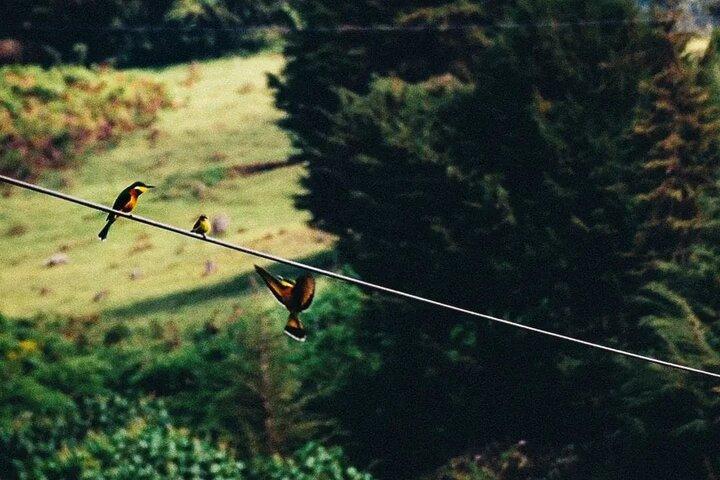 Zipline at Kereita, Hellsgate Adventure through Lake Naivasha
