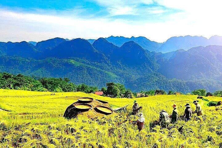 2-Day Mai Chau Villages, Cycling and Traditions