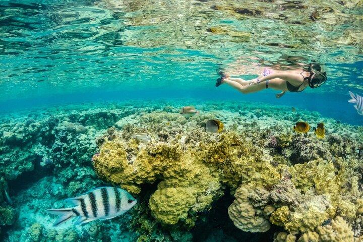 Phuket Coral Island Snorkeling One Day Trip by Speedboat