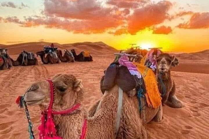3 days merzougha desert tour from Marrakech - recommendations