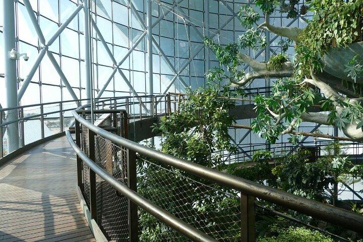 Green Planet Dubai – The Indoor Rainforest & Wildlife Dome
