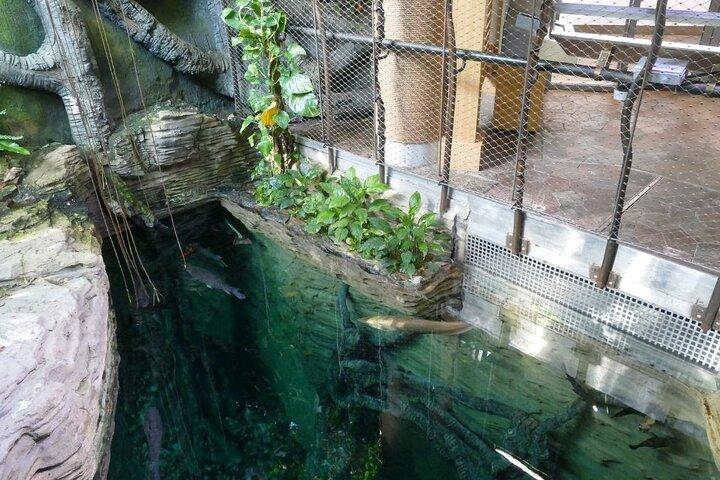 Green Planet Dubai – The Indoor Rainforest & Wildlife Dome