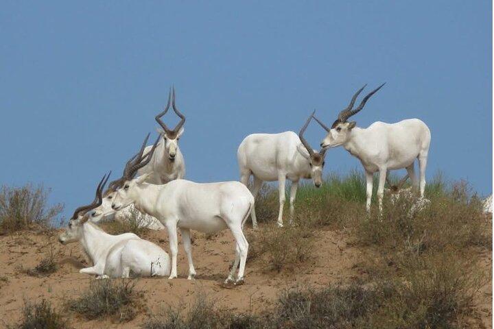 Visit Souss National Park