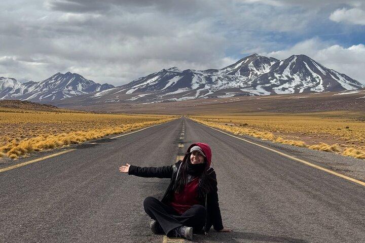 Atacama Desert: Chaxa Lagoon & Altiplanic Lagoons (Full-Day Tour)