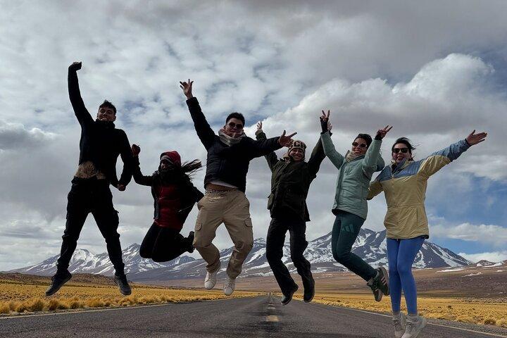 Atacama Desert: Chaxa Lagoon & Altiplanic Lagoons (Full-Day Tour)