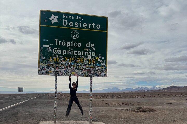 Atacama Desert: Chaxa Lagoon & Altiplanic Lagoons (Full-Day Tour)