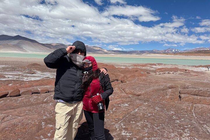 Atacama Desert: Chaxa Lagoon & Altiplanic Lagoons (Full-Day Tour)