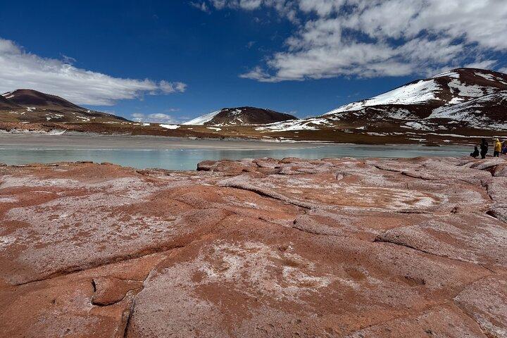 Atacama Desert: Chaxa Lagoon & Altiplanic Lagoons (Full-Day Tour)