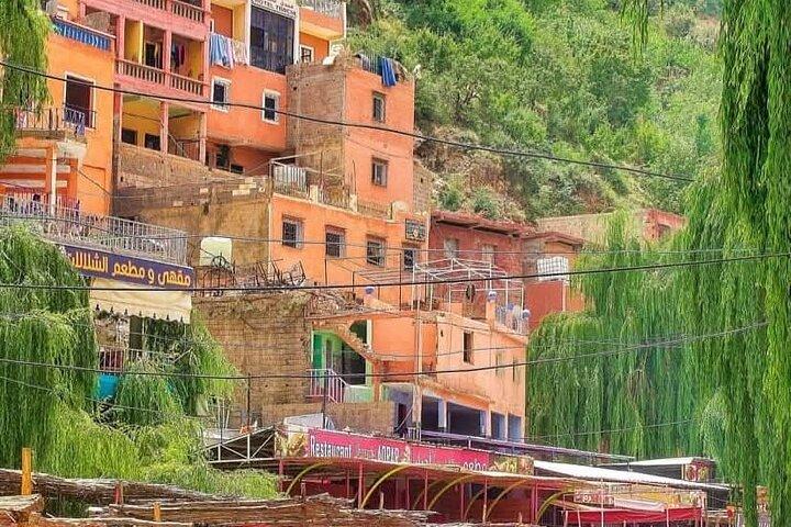 Day trip to Ourika valley