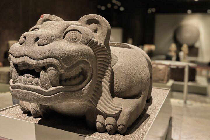 Museum of Anthropology and Chapultepec Castle with Specialists