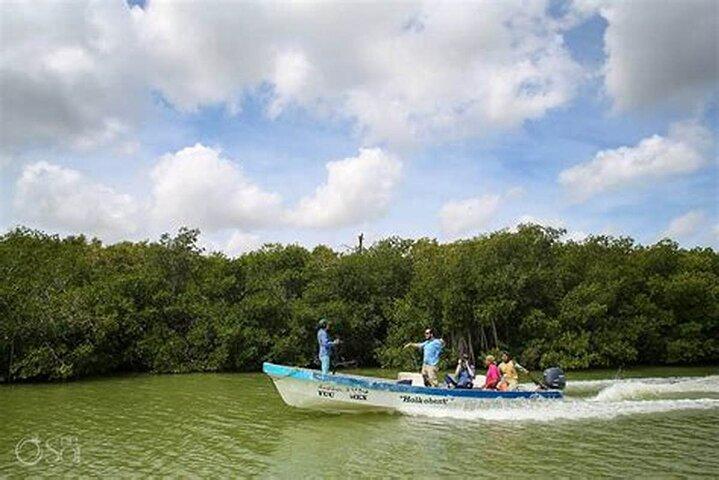 Full-Day Tour Can Gio Mangrove Biosphere Reserve