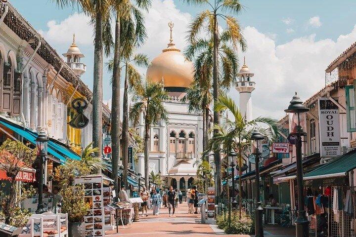 Singapore Cultural Heritage on a Private Walking Tour