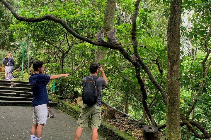 Discover The Best of Ubud: All-Inclusive and Private Guided Tour