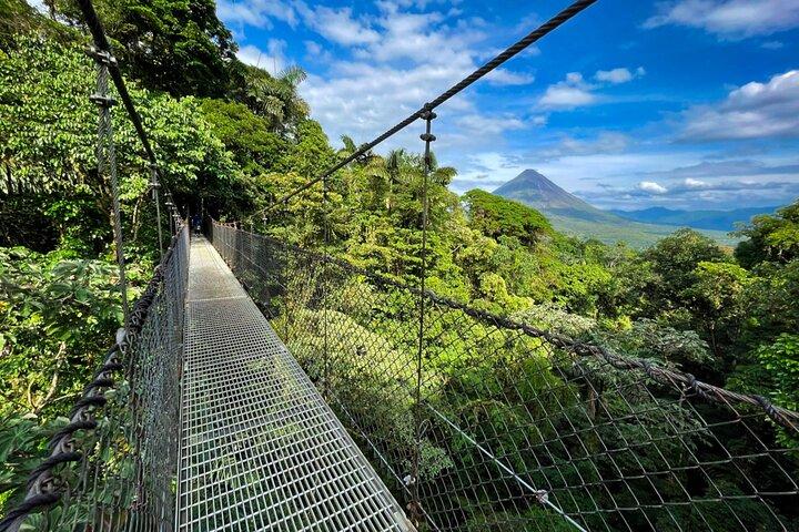 Hanging Bridges Nature History Private Walking Tour