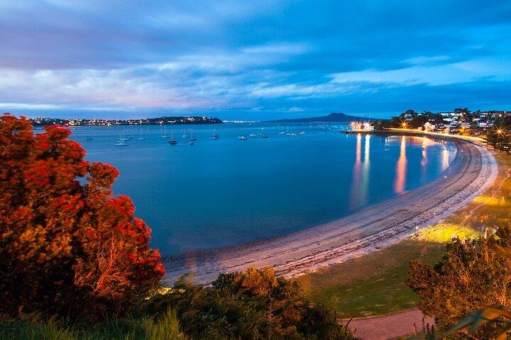 Explore EAST AUCKLAND & Scenic View Ferry Return - Half Day Tour