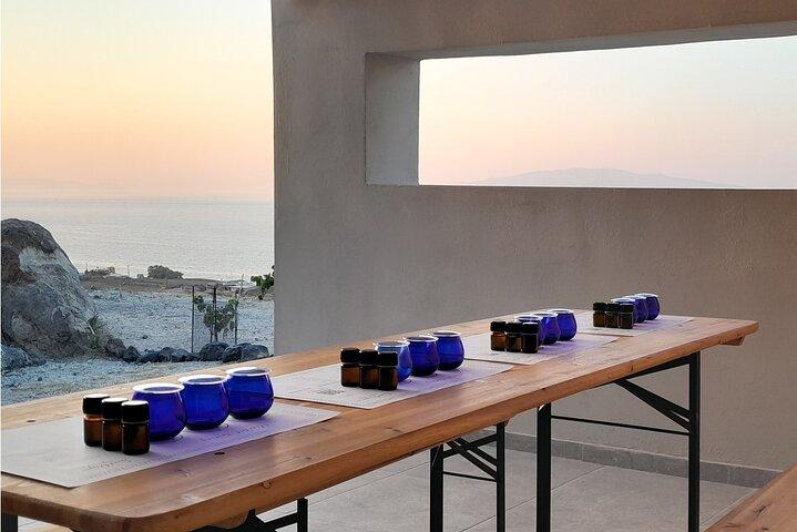 Private Olive Oil tasting & Liqueur experience in an Organic Farm