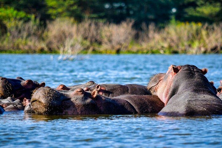 One Day Tour to Lake Nakuru from Nairobi 4WD
