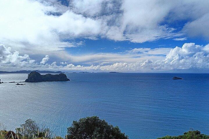 Cathedral Cove & Hot Water Beach with Lunch from Auckland