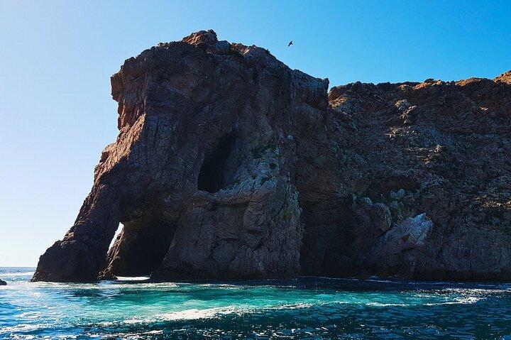 Private: Berlenga Islands by Boat, Peniche & Óbidos from Lisbon