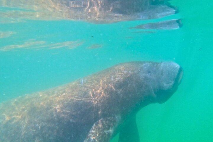 3 Hour Clear Kayak Beach Hopping Adventure in Sarasota