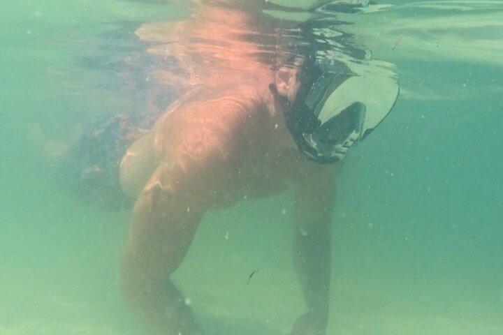3 Hour Clear Kayak Beach Hopping Adventure in Sarasota