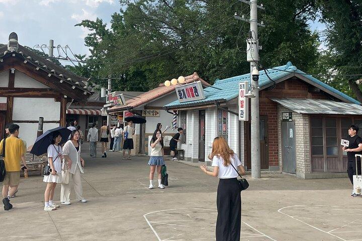 Private Vehicle and Tour Guide in Seoul