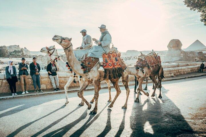 Private Half Day Tour of Cairo and Giza with Pickup
