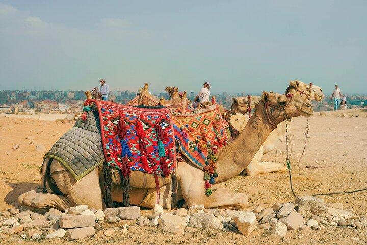 Private Half Day Tour of Cairo and Giza with Pickup