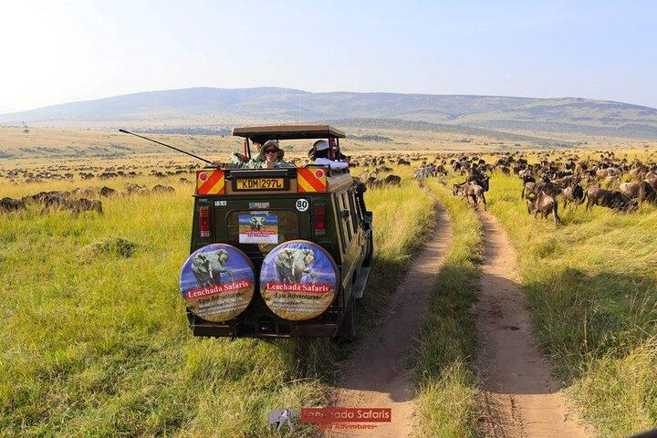 3 Day Masai Mara Daily Budget Safaris on 4x4 with No Park Fees