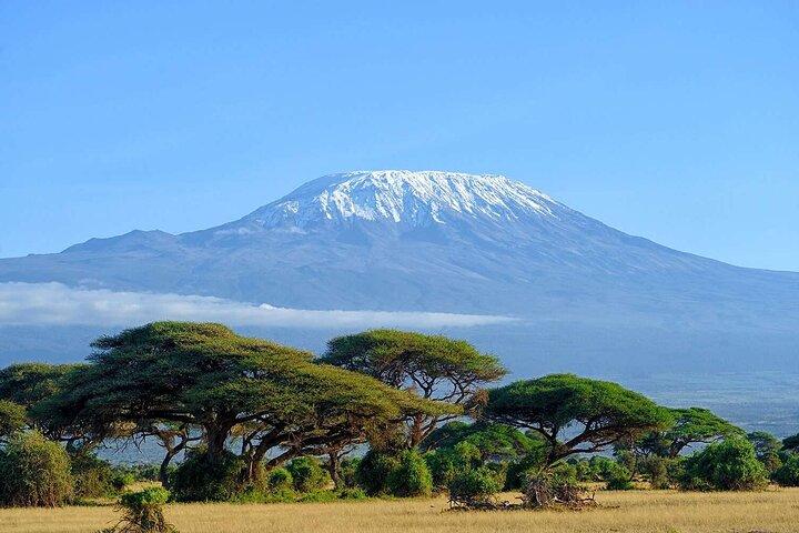 7 Day Masai Mara Nakuru Amboseli Safari Tour