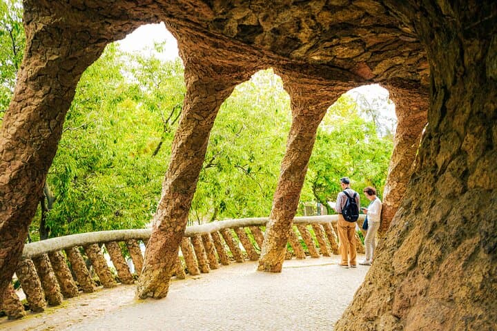 Priority Access Private Guided Tour of Park Güell