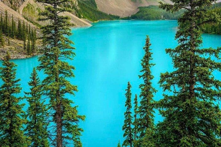 Lake Louise, Banff Gondola, Minnewanka and Banff Town Tour