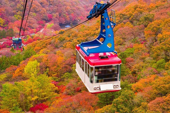 Naejangsan Autumn Foliage Day Tour from Seoul or Busan
